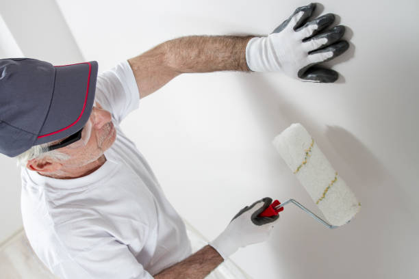 Best Post-Construction Mold Inspection  in Port Orange, FL
