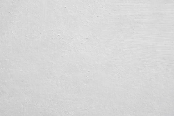 Best Commercial Mold Inspection  in Port Orange, FL