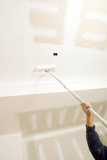 Best Water Damage & Mold Remediation  in Port Orange, FL