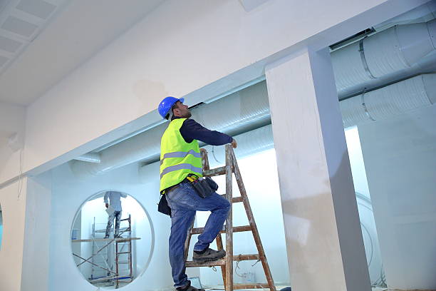 Best Forensic Mold Investigation  in Port Orange, FL
