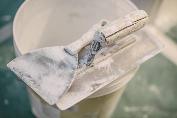Best Mold Damage Restoration  in Port Orange, FL